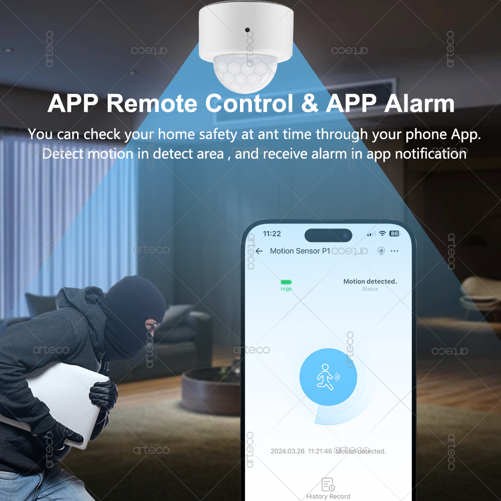 Ewelink Zigbee PIR Motion Sens - Zigbee Motion Sensor avaliação e preço