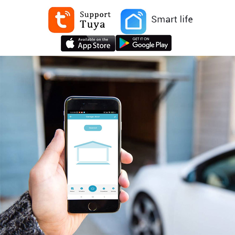 TUYA WIFI 2.4G Smart Garage Do - Smart Garage Door Opener avaliação e preço