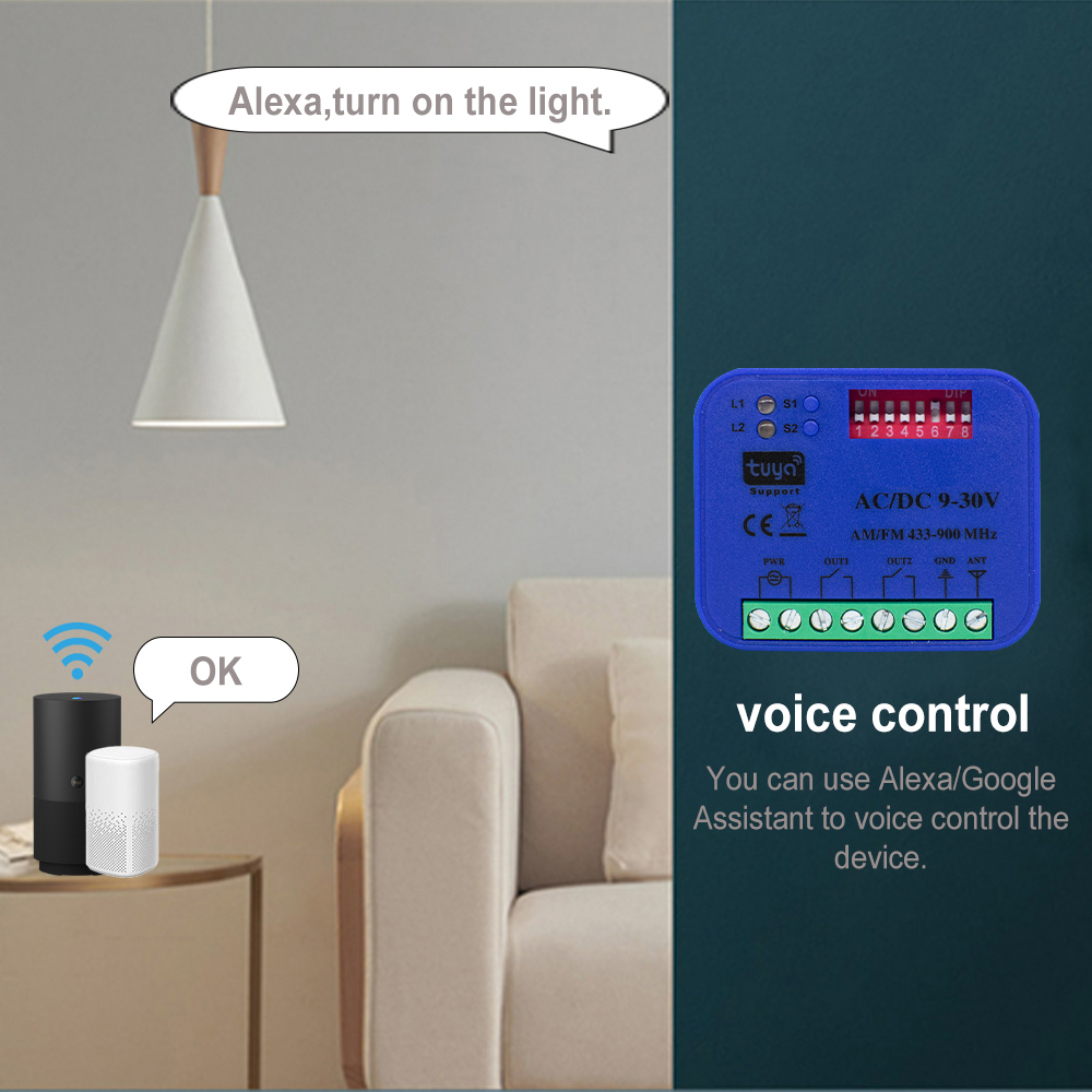 2CH 433-868MHz WiFi Garage Doo - Smart Garage Door Opener avaliação e preço