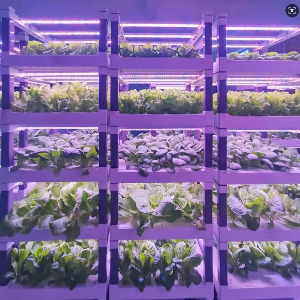 Hydroponic Grow System Greenho - Smart Home Devices avaliação e preço